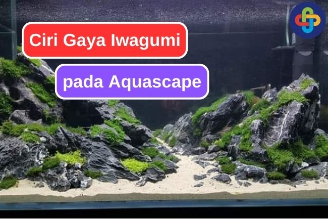 Karakteristik Gaya Iwagumi pada Aquascape